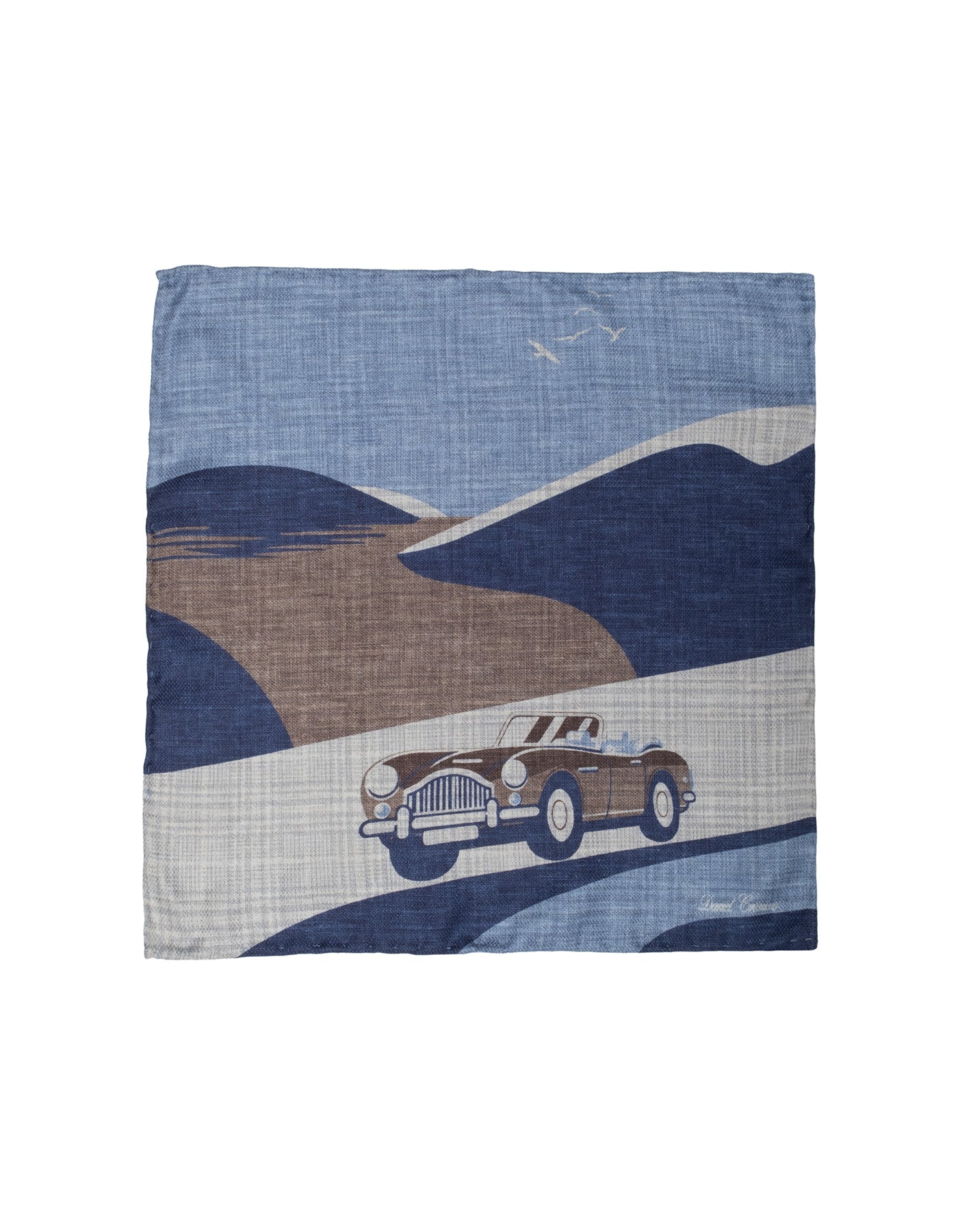 Silk Car/Plaid Pocket Square